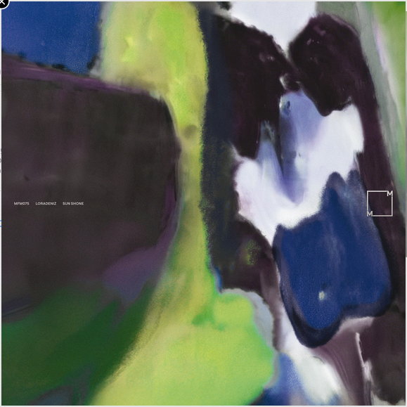 Sun Shone [LP Import]