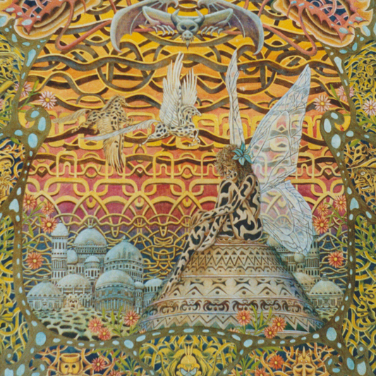 Echo In Light [2LP Import]