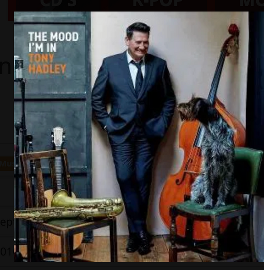 The Mood I'm In [LP]