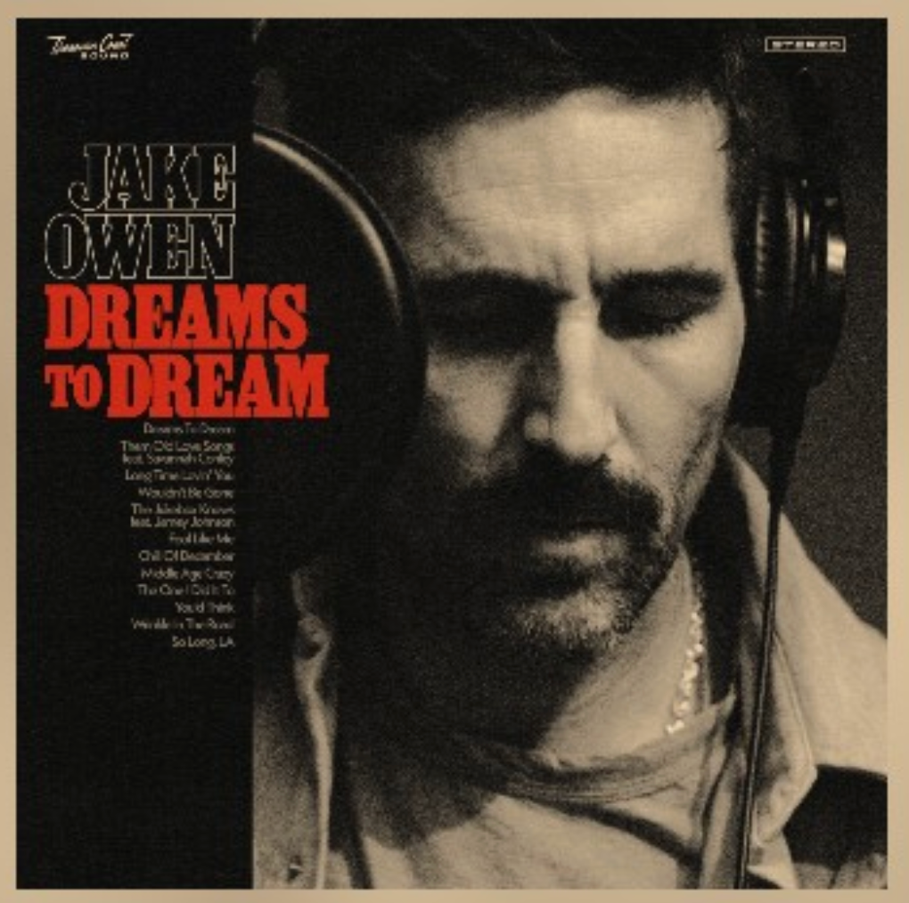 Dreams To Dream [LP]