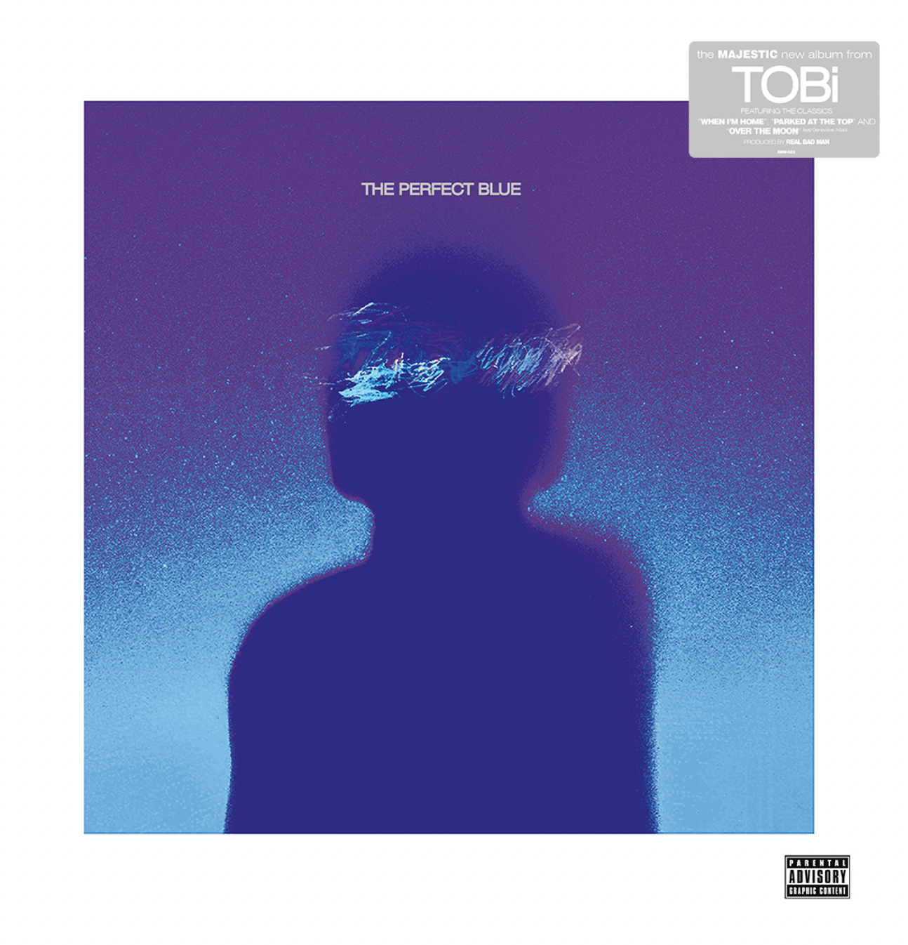 The Perfect Blue [LP]