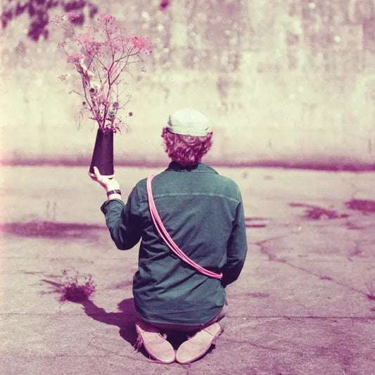 Sean Mac Erlaine & Caoimhin O Raghallaigh - Old Segotia [LP]