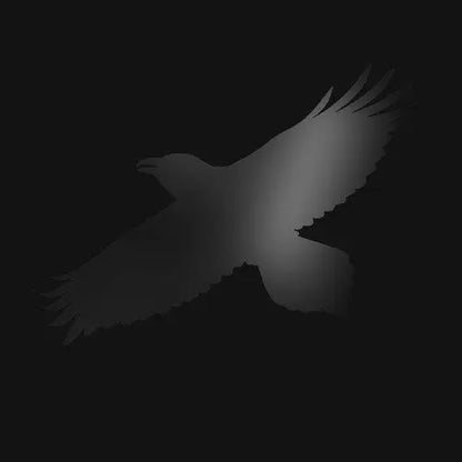 Sigur Rós - Odin's Raven Magic [Vinyl]