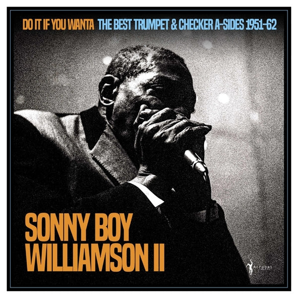 Do It If You Wanta: The Best Trumpet & Checker A-sides 1951-62 [LP]