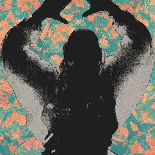 Startled Insects - The Antenna Years [LP]