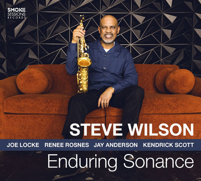 Steve Wilson - Enduring Sonance — album artwork