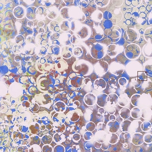 Distoted Clamor [LP]