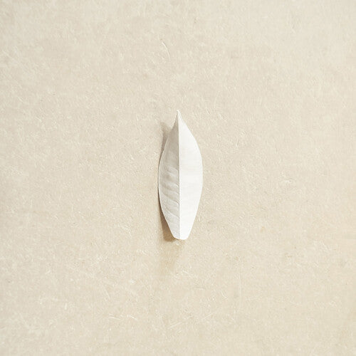 Complexity of the Simple [Vinyl]
