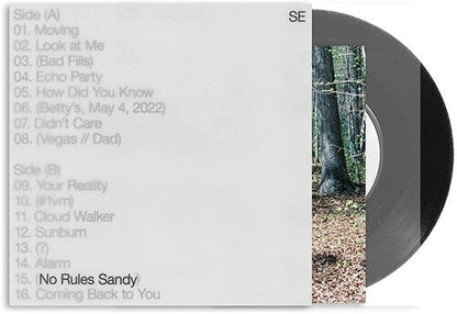 Sylvan Esso - No Rules Sandy — album artwork
