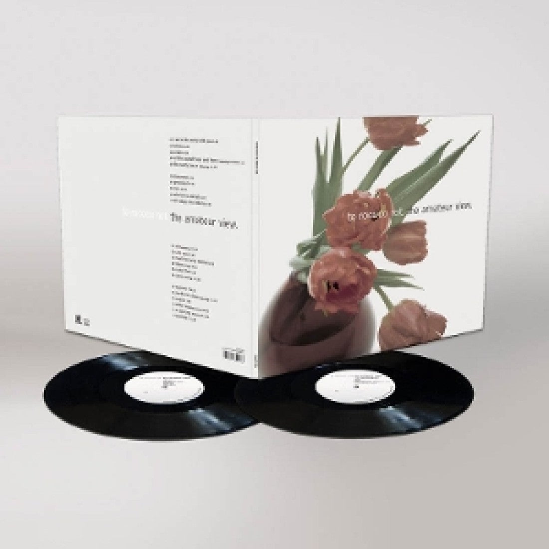 The Amateur View [2LP]