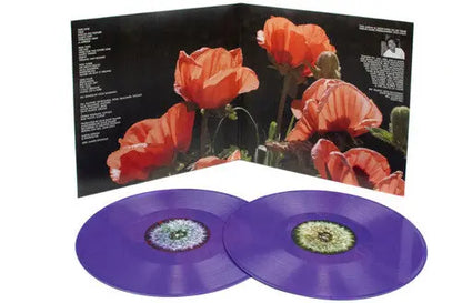The Bevis Frond - Focus On Nature [Purple Vinyl]