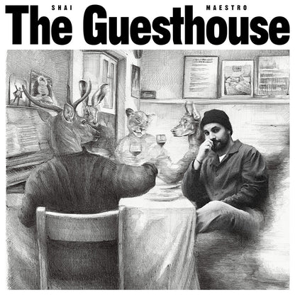 Shai Maestro — The Guesthouse [LP] — album artwork