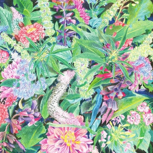 The Rising Wave [LP]