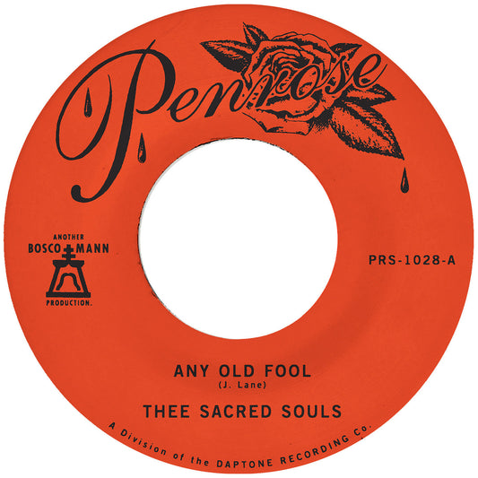 Any Old Fool B/W Price I'll Pay [Vinyl]