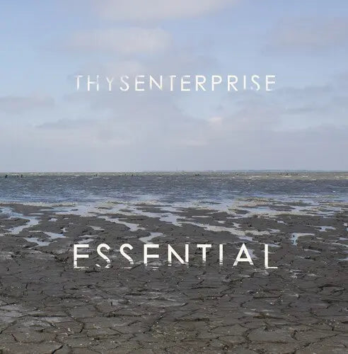 Thysentersprise - ESSENTIAL [Vinyl]