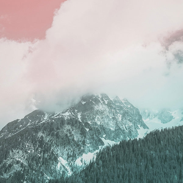 Organic Music Tapes Vol. 4 [Cassette]