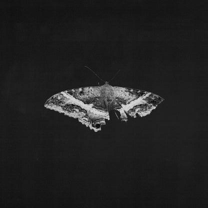 Kendrick Lamar - To Pimp A Butterfly (10th Anniversary) [2LP Metallic Blends Vinyl]
