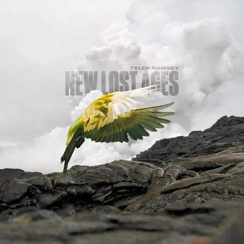 Tyler Ramsey - New Lost Ages [Gray Vinyl]