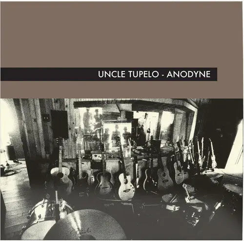 Uncle Tupelo - Anodyne [LP LP size booklet]