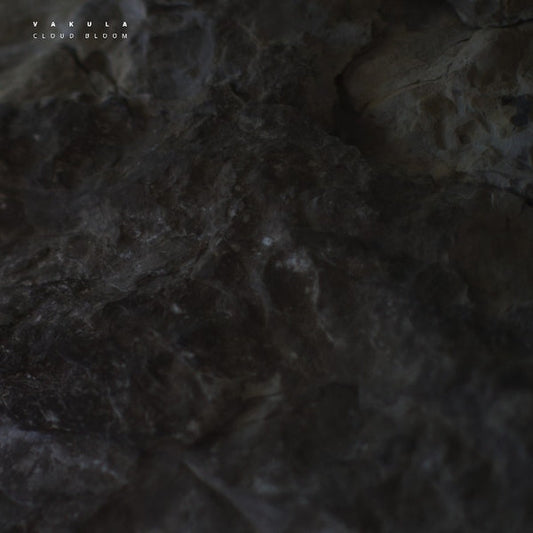 Cloud Bloom [12" Vinyl]