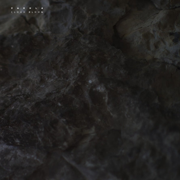 Cloud Bloom [12" Vinyl]