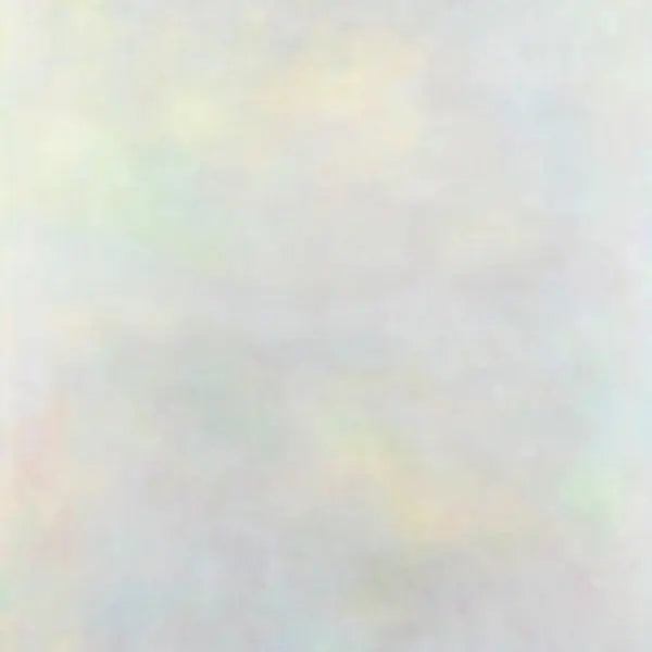 Variant - The Setting Sun [2LP]