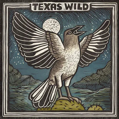 Various Artists - Texas Wild [Vinyl]