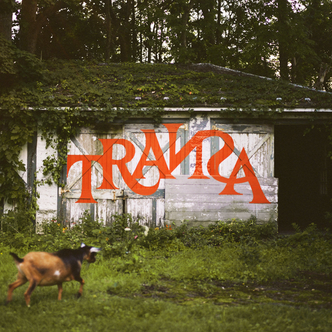 Transa [Deluxe 6LP Vinyl Box Set]