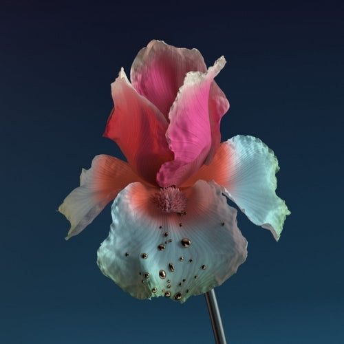 Flume – Tiny Cities / Take a Chance (Remixes) [12" Vinyl Single] — cover artwork