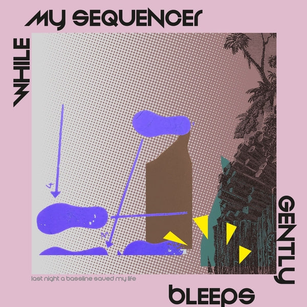 Last Night A Bassline Saved My Life [12" Vinyl]