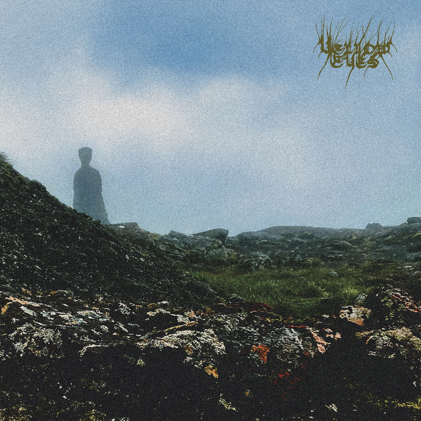 Confusion Gate [Vinyl]