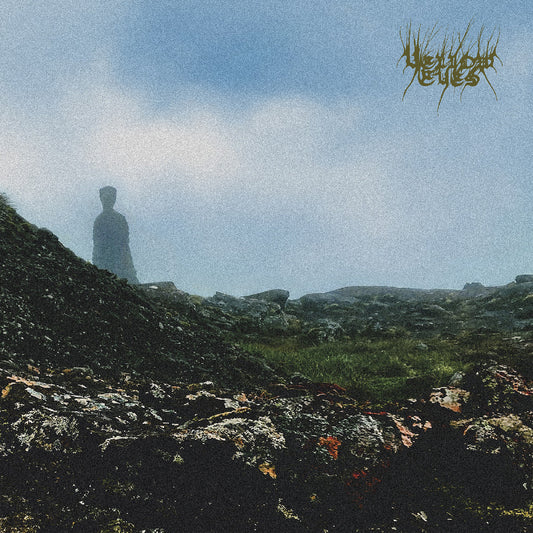 Confusion Gate [Vinyl]