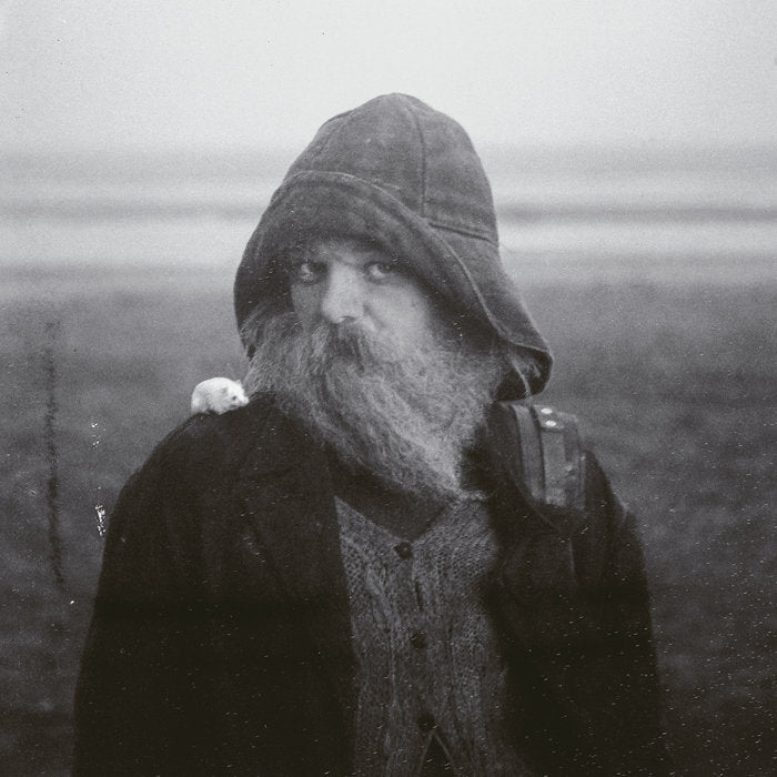 Mary in the Junkyard - Role Model Hermit — album artwork