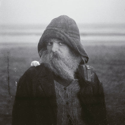 Mary in the Junkyard - Role Model Hermit — album artwork