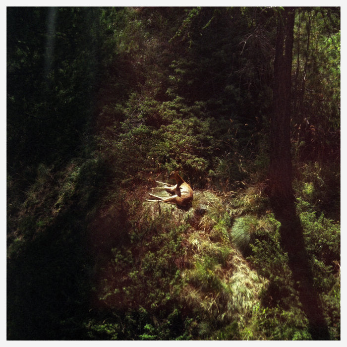 Will Samson - Sings Again — album artwork