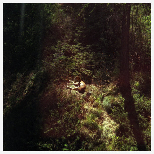 Will Samson - Sings Again — album artwork