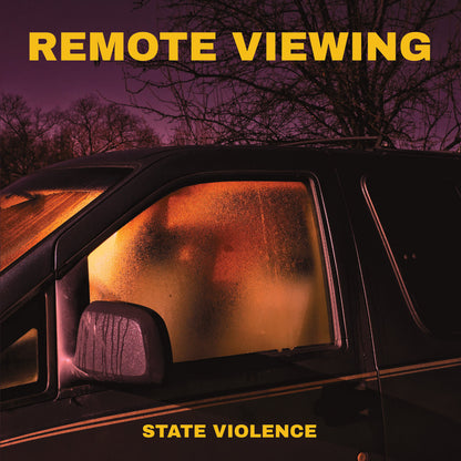 Remote Viewing – State Violence cover artwork