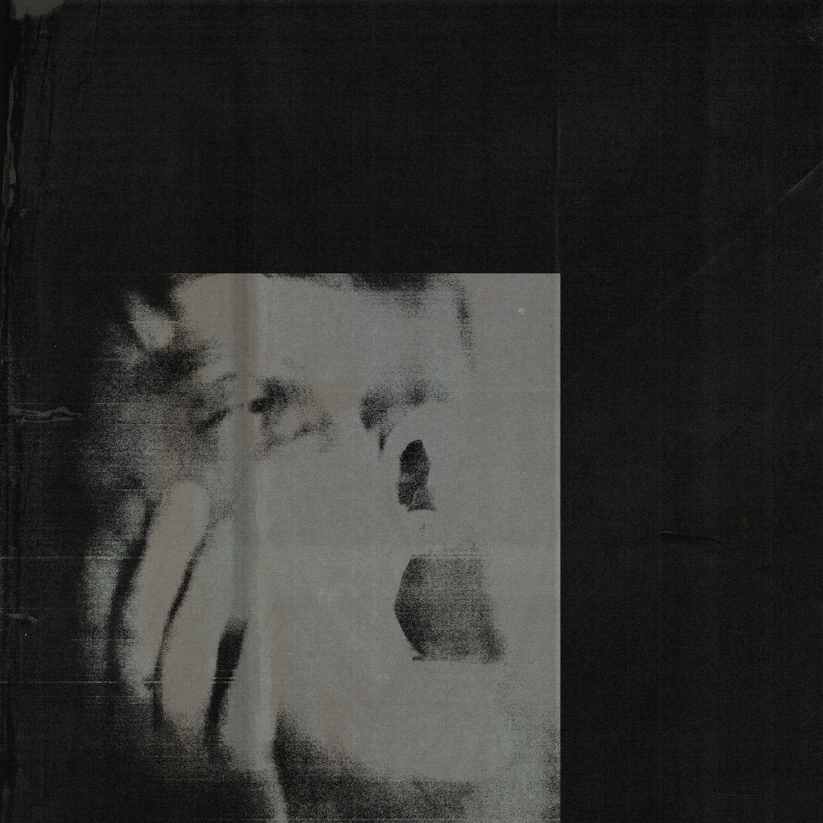 DITZ - Never Exhale [Vinyl] cover artwork
