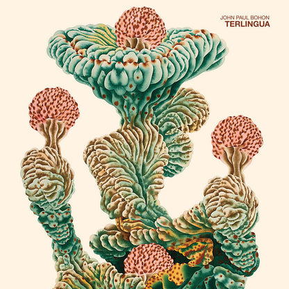 John Paul Bohon - Terlingua cover artwork