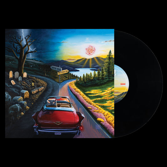 I Don't Wanna Say Goodbye Black Vinyl
