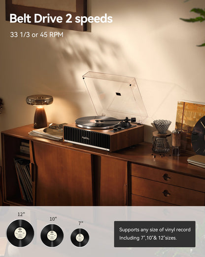 Angels Horn AH X200 all-in-one turntable - view 2