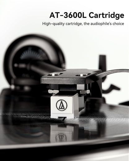 Angels Horn AH X200 all-in-one turntable - view 3