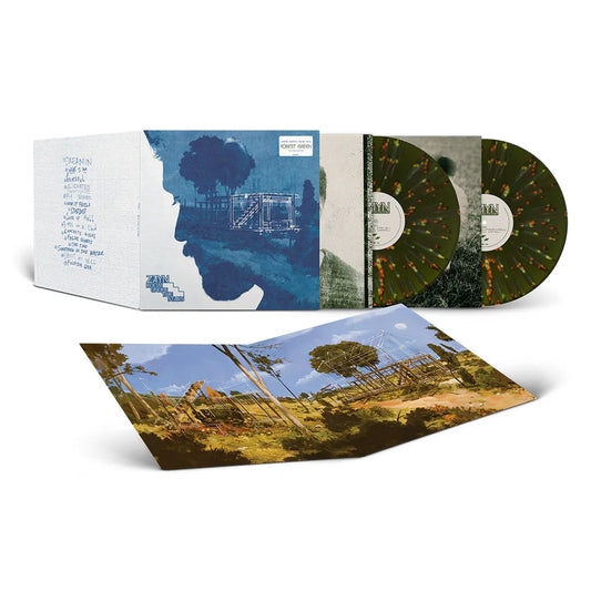 ZAYN — Room Under The Stairs [Explicit Green Splatter Vinyl] — cover and packaging