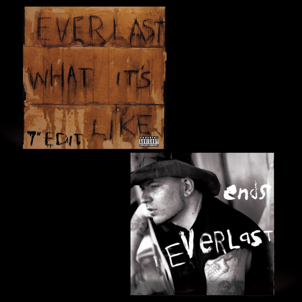 Everlast — What It's Like / Ends [7" Vinyl Single] — product artwork