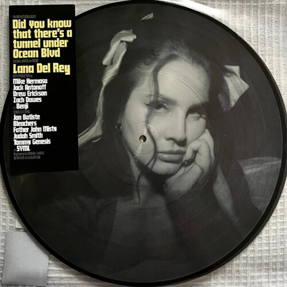 Lana Del Rey — Did you know that there’s a tunnel under Ocean Blvd [Picture Disc Vinyl] — product artwork