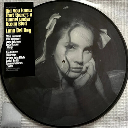 Lana Del Rey — Did you know that there’s a tunnel under Ocean Blvd [Picture Disc Vinyl] — product artwork