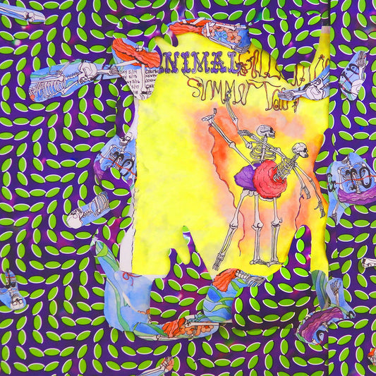Animal Collective - Ballet Slippers [Vinyl]