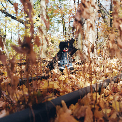 billy woods - GOLLIWOG [Vinyl]