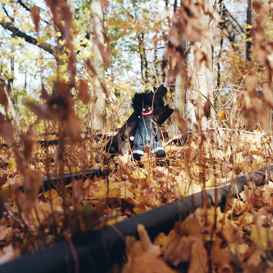 billy woods - GOLLIWOG [Vinyl]