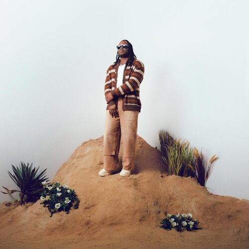 Real [2LP] (Mocha Mist Vinyl)